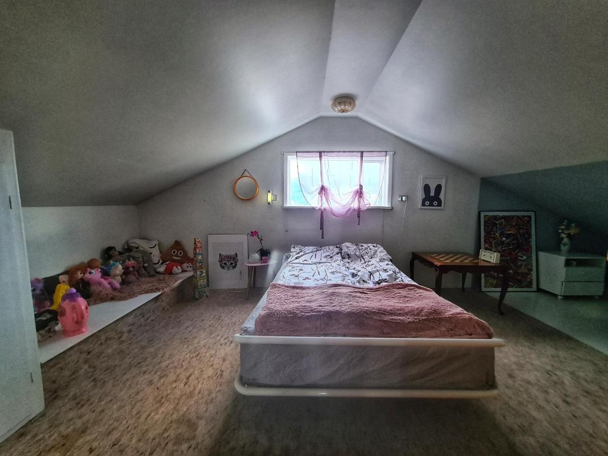 Holkot Scenic Farm Villa Húsavík Eksteriør billede